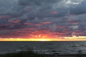 IMG_1554
